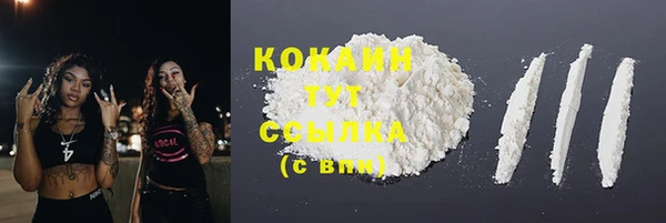 мдпв Елизово
