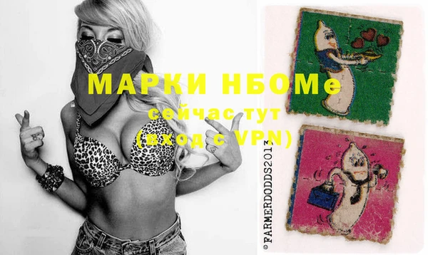 скорость Ельня