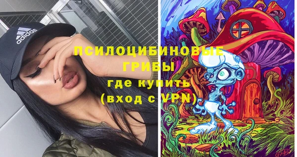 прущие крисы Елабуга