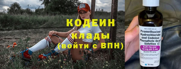 скорость Ельня