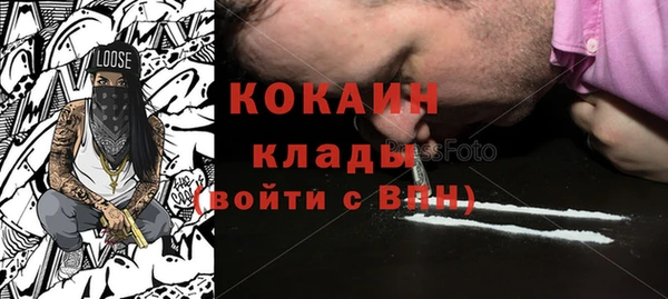 скорость Ельня