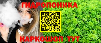 ГАЛЛЮЦИНОГЕННЫЕ ГРИБЫ Лесосибирск