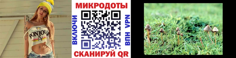 Галлюциногенные грибы Magic Shrooms  мориарти какой сайт  Рузаевка 