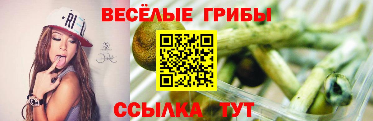 Рузаевка  Галлюциногенные грибы прущие грибы  Вход с VPN 