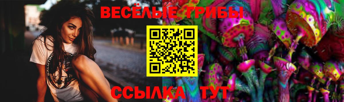 Галлюциногенные грибы мицелий  Рузаевка  Галлюциногенные грибы прущие грибы 